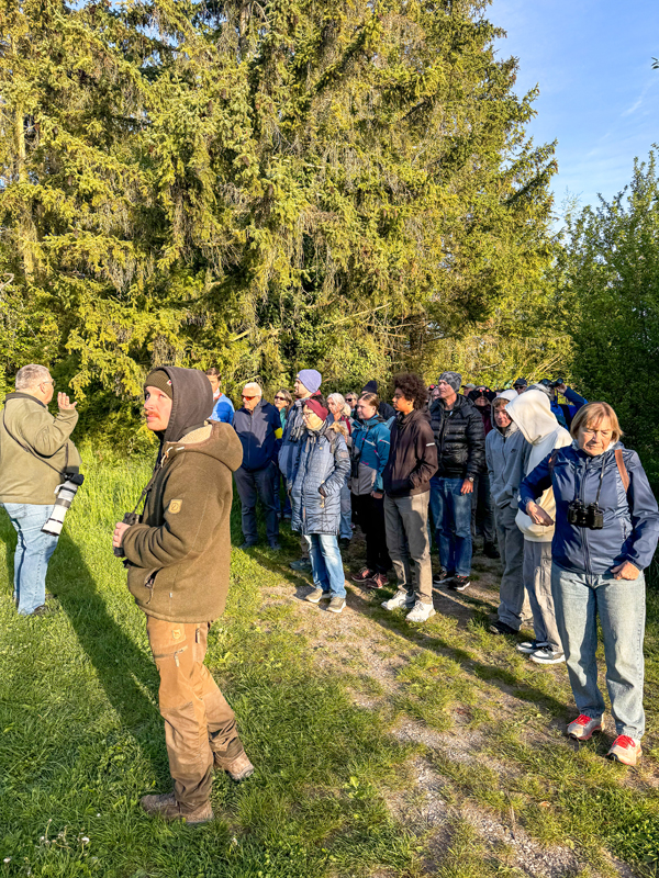 260426_NF_VOGELFHRUNG_EProbst_01-1.jpg
