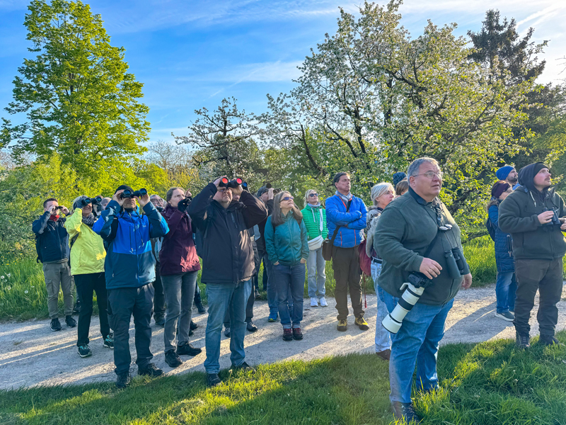 260426_NF_VOGELFHRUNG_EProbst_03-3.jpg
