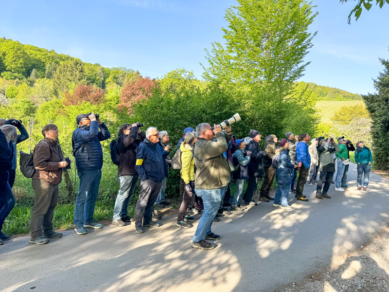 260426_NF_VOGELFHRUNG_EProbst_04-4.jpg