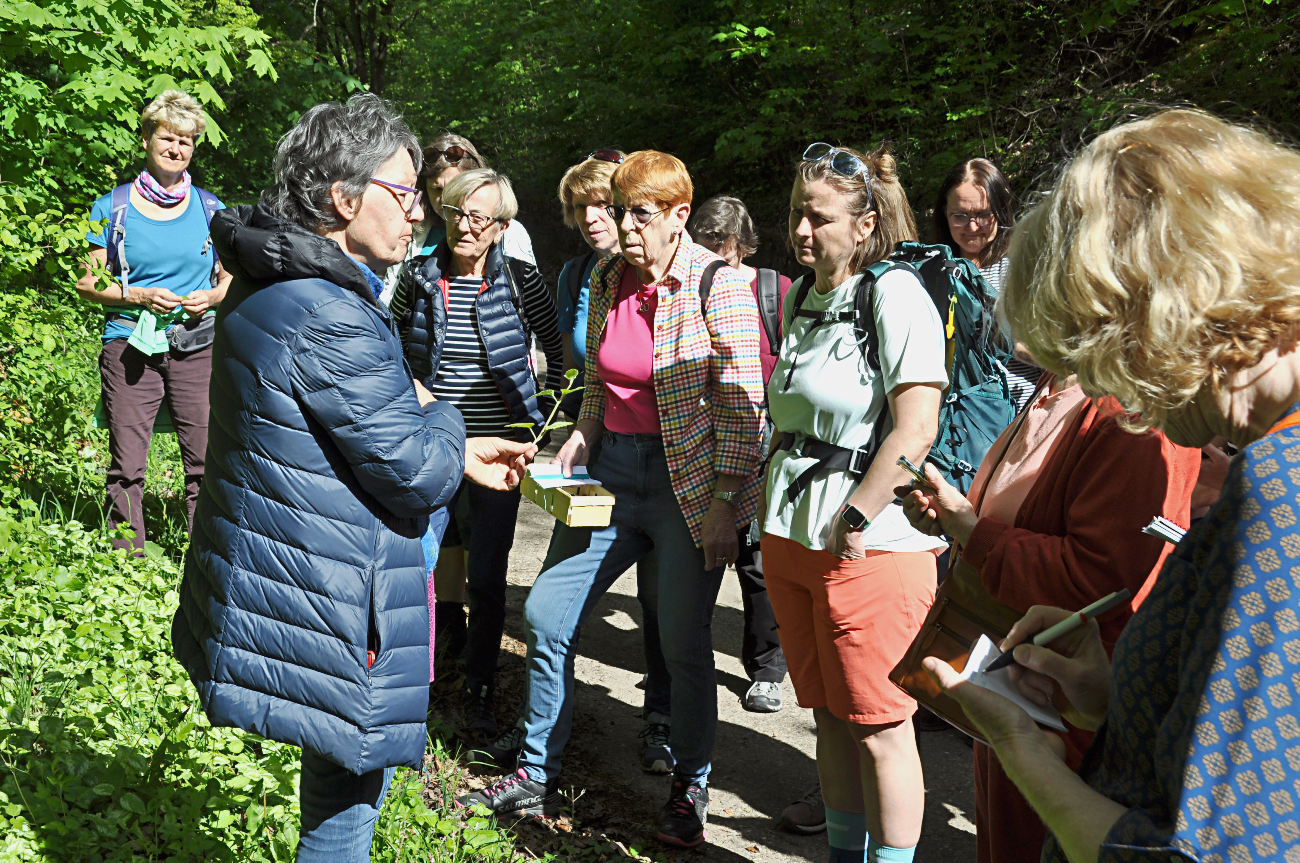 NF_240427_OG_100_Wildkruterwanderung_05_korr_kl.jpg