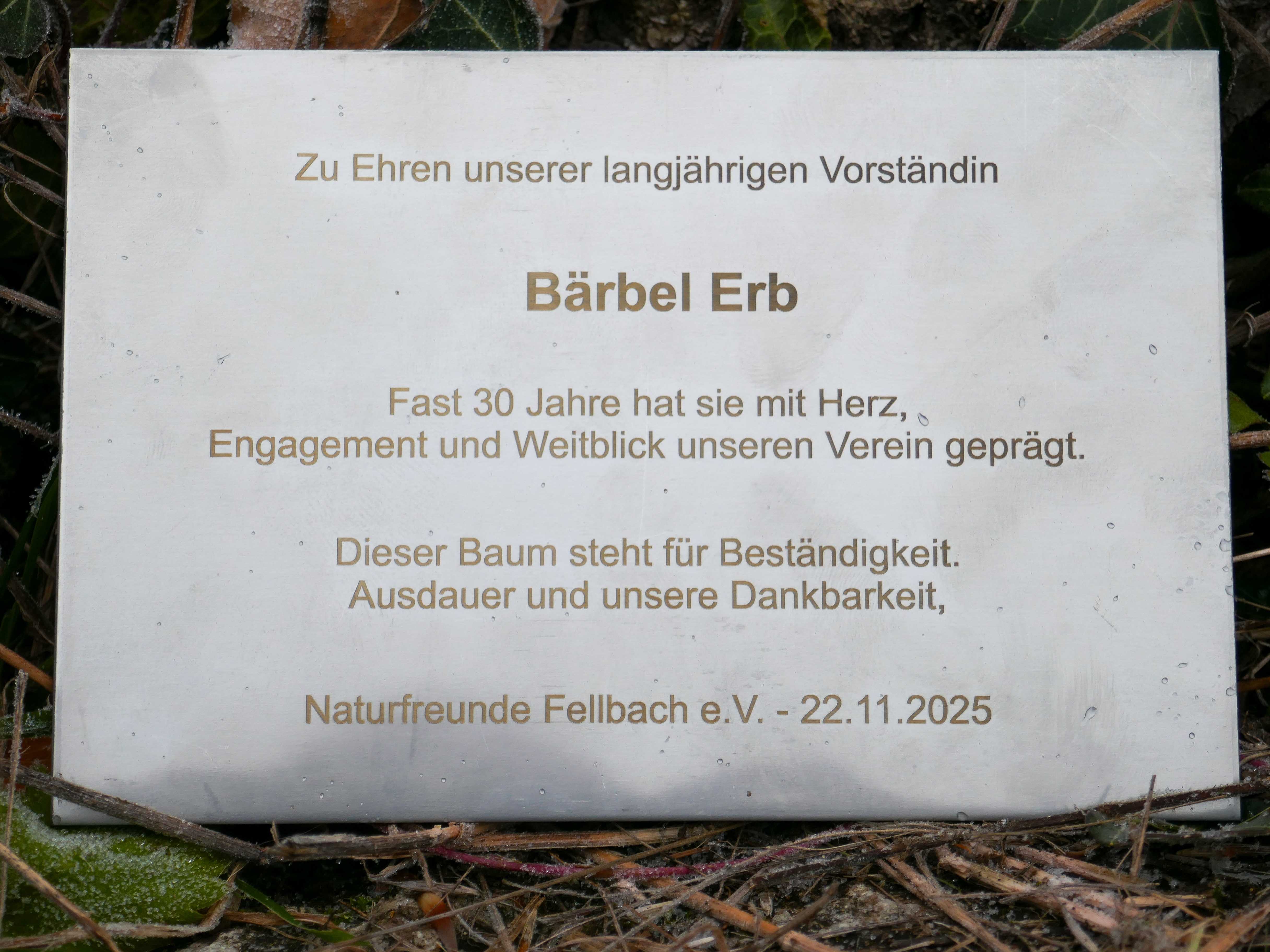 P1120789-12.jpg