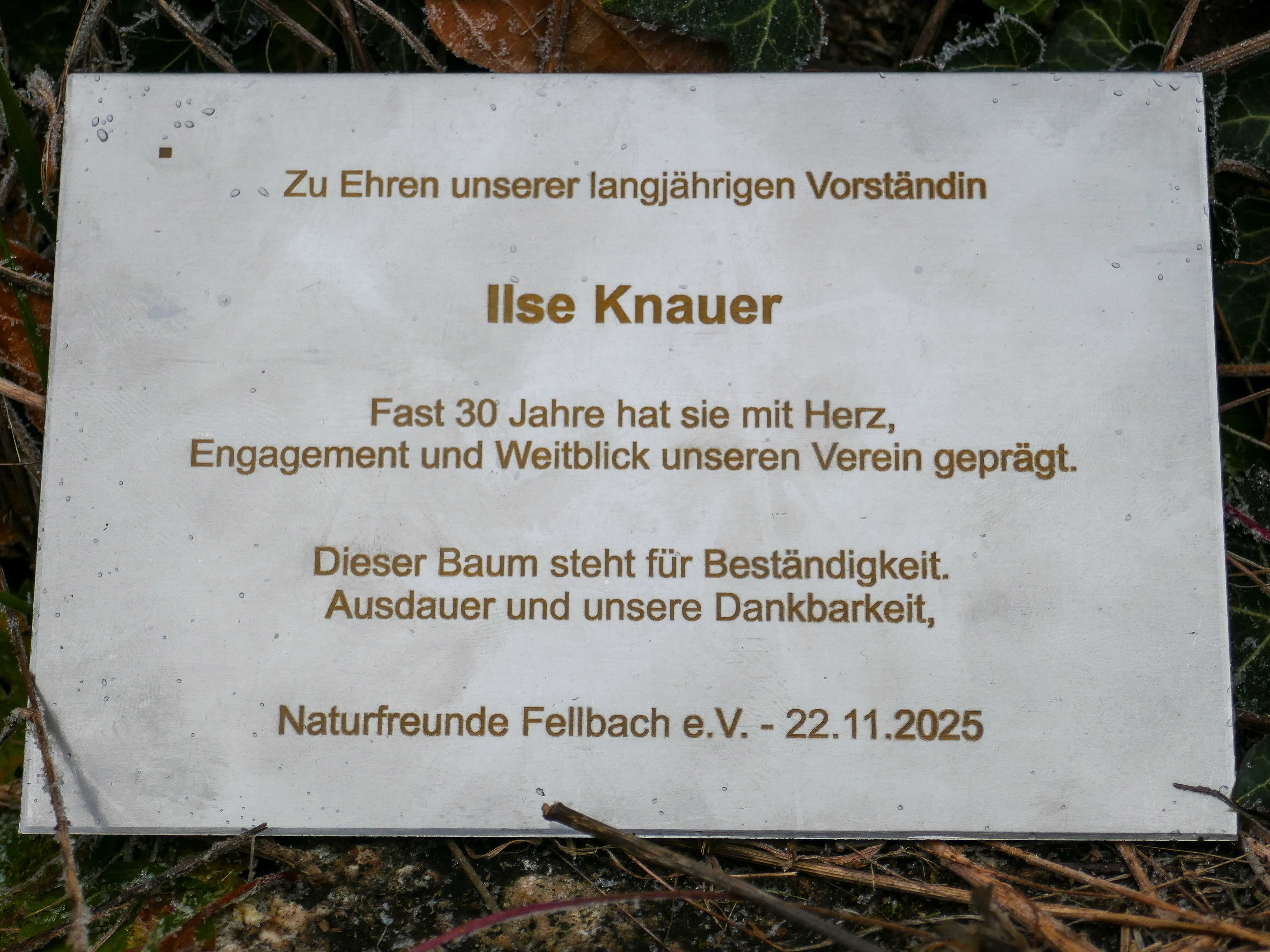 P1120812-11.jpg